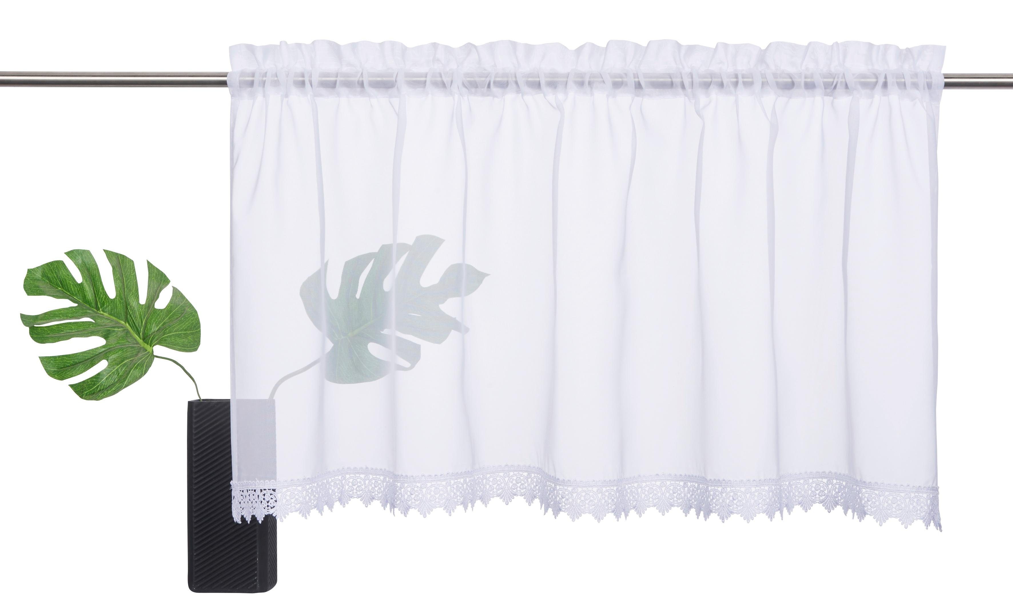 my home Scheibengardine Missy (1 St), Stangendurchzug, transparent, Polyest günstig online kaufen