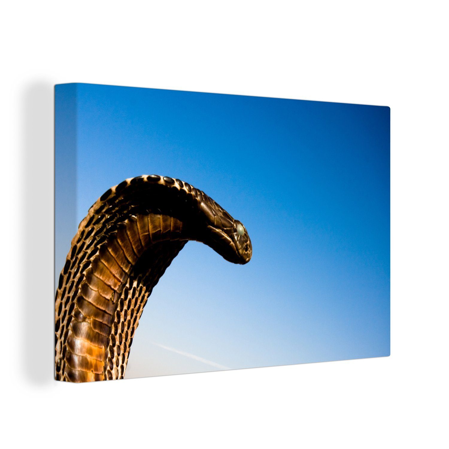OneMillionCanvasses® Leinwandbild Cobra-Schlange mit blauem Himmel, (1 St), Wandbild Leinwandbilder, Aufhängefertig, Wanddeko, 30x20 cm