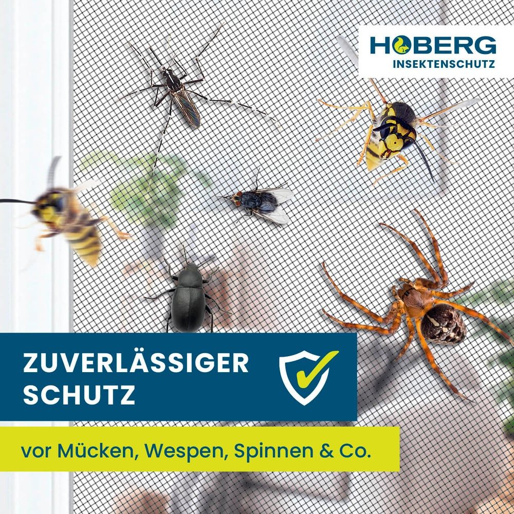 Hoberg Insektenschutz-Fensterrahmen Fenster-Fliegengitter mit innovativer Magnetbefestigung, (1-St), Fliegennetz bis 150x130cm individuell zuschneidbar