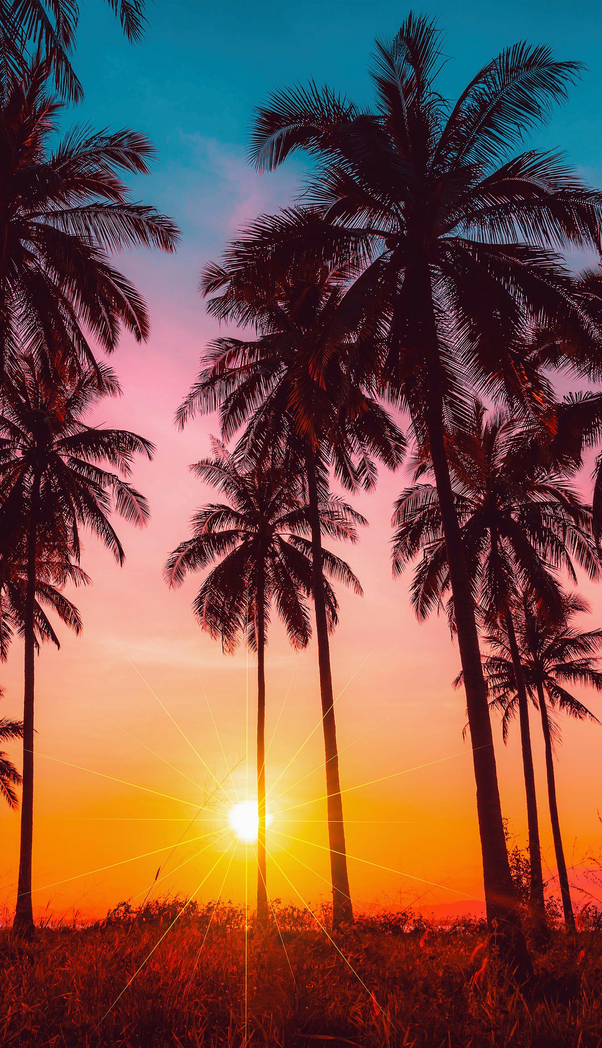 good morning Strandtuch Bora Bora, Microfaser günstig online kaufen