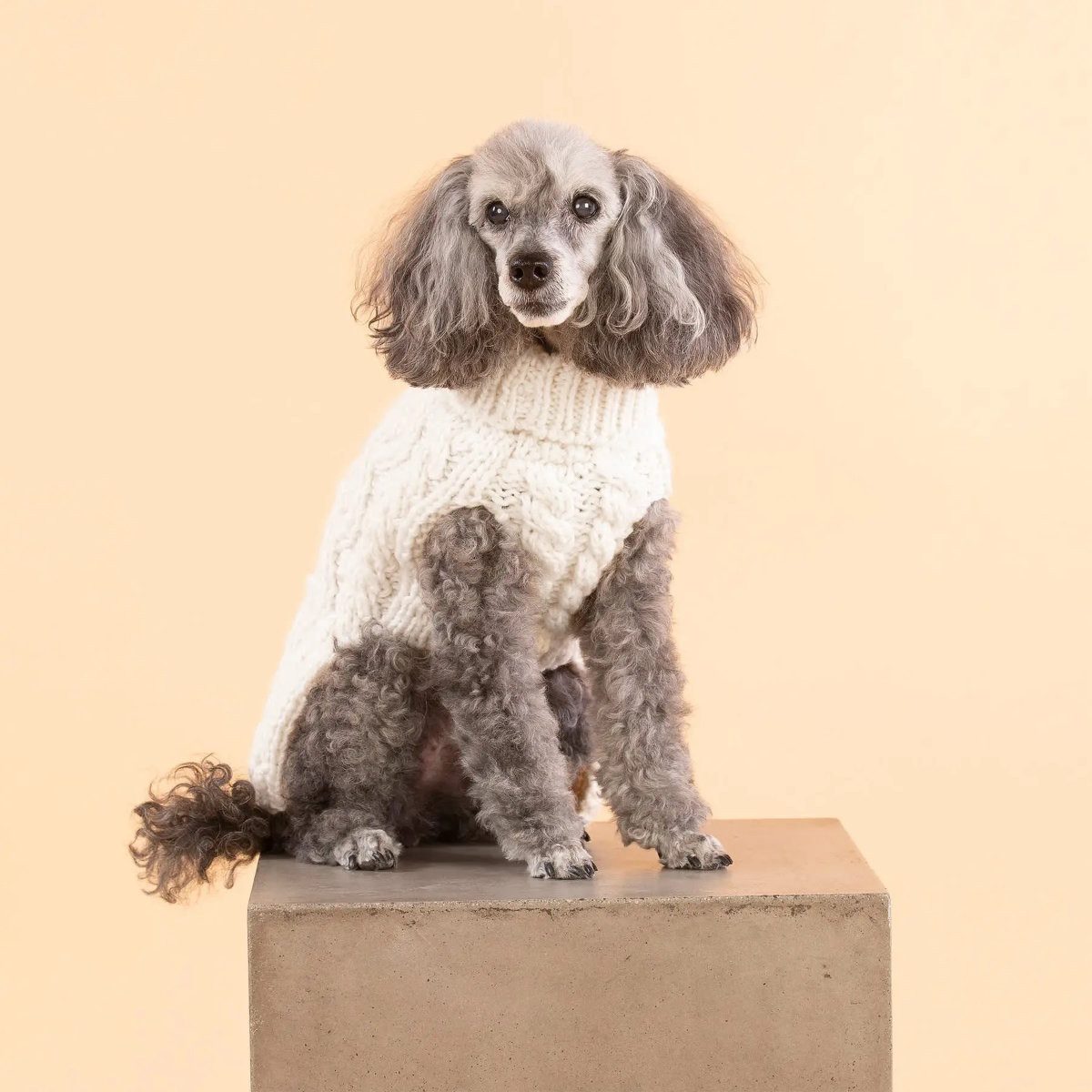 PAIKKA Hundepullover Hunde Strickpullover "Handmade Knit Sweater" weiß