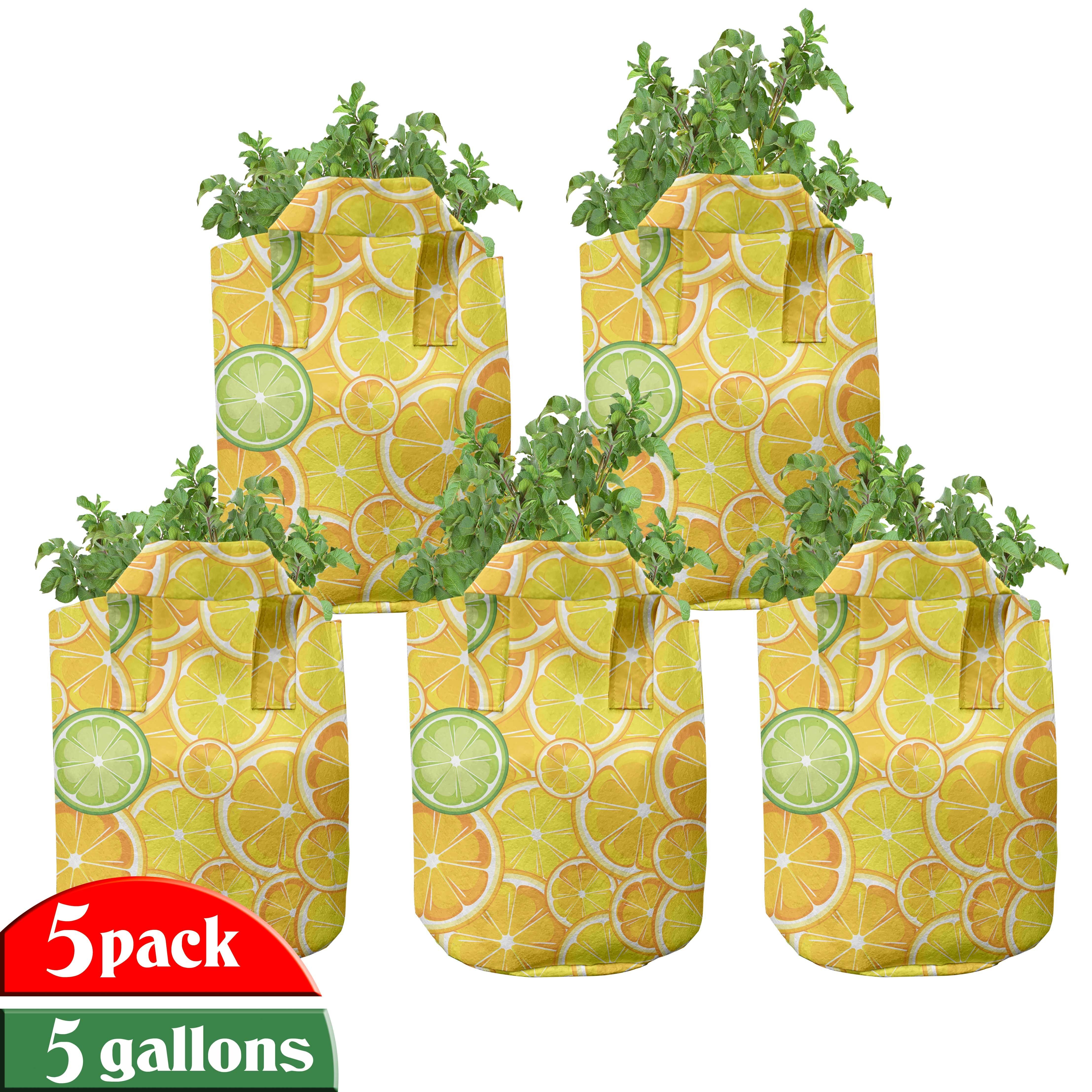 Abakuhaus Pflanzkübel hochleistungsfähig Stofftöpfe mit Griffen für Pflanzen, Obst Lemon orange Kreise