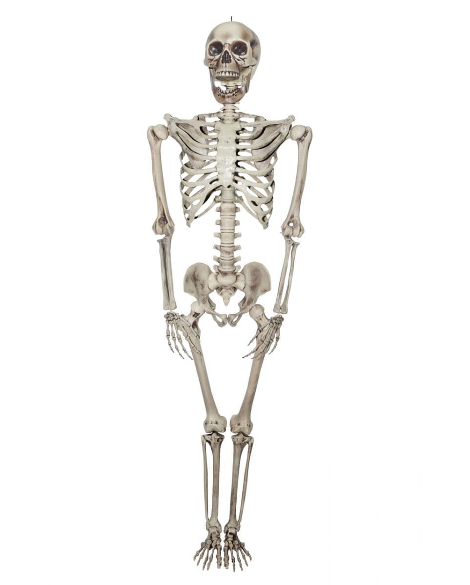 Horror-Shop Dekofigur Riesen Skelett - 200 c Lebensgroße Figur Halloween