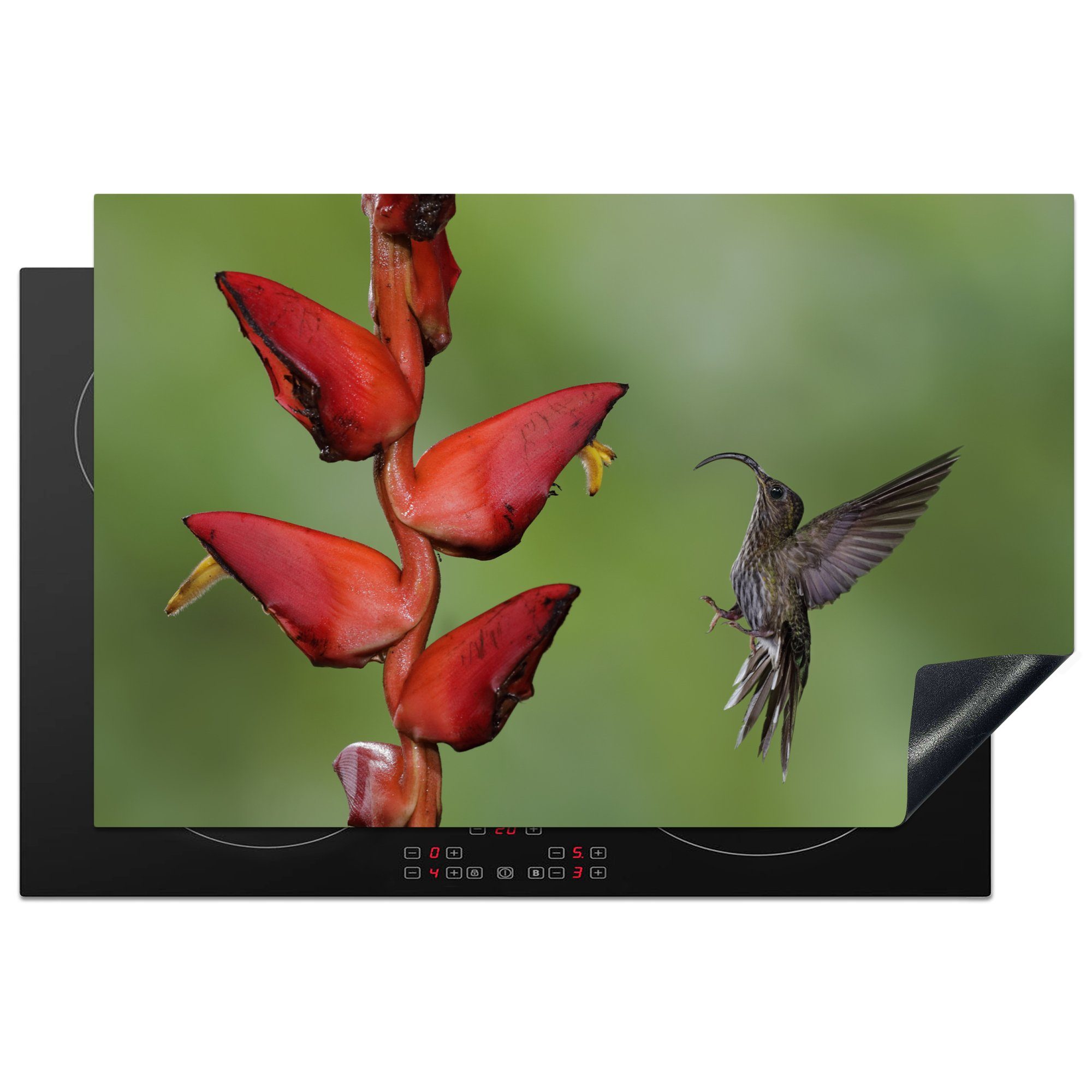 MuchoWow Herdblende-/Abdeckplatte Ein fliegender Hakennasenkolibri in der Nähe einer roten Blume, Vinyl, (1 tlg), 81x52 cm, Induktionskochfeld Schutz für die küche, Ceranfeldabdeckung