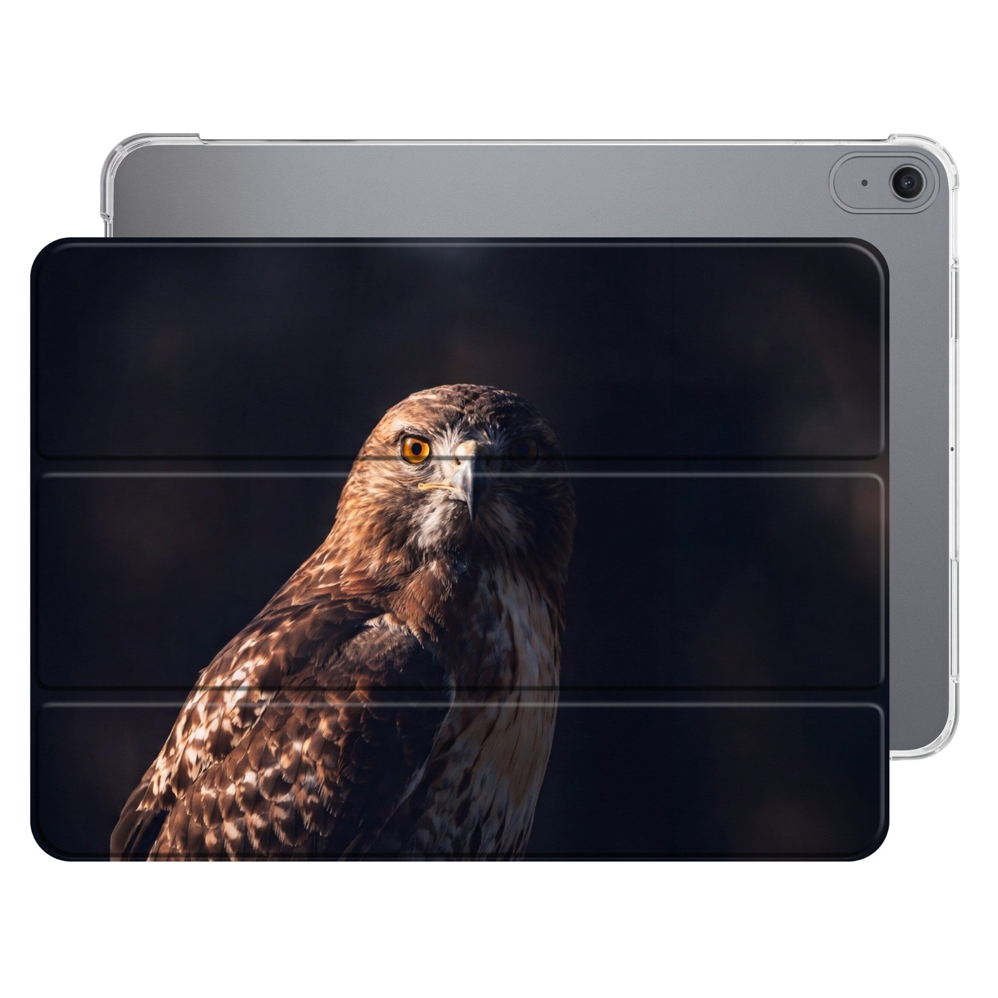 Raubvogel - Mäusebussard - Braun