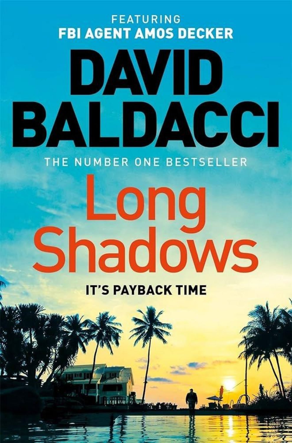 Long Shadows / David Baldacci