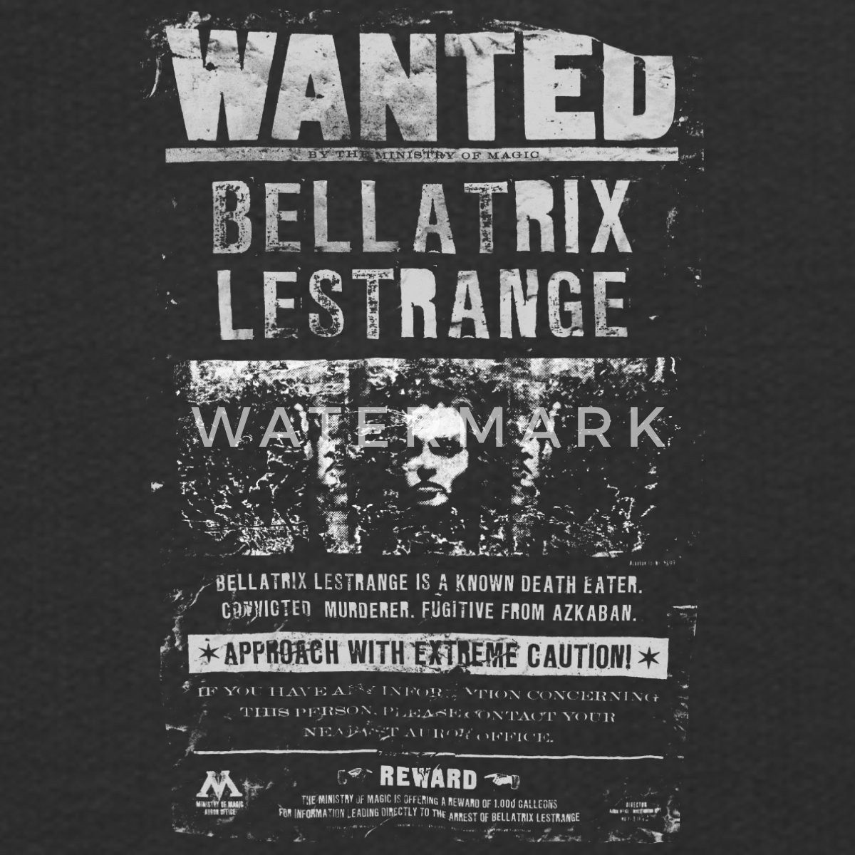 Spreadshirt Hoodie Harry Potter Bellatrix Lestrange Wanted Poster Kinder Premium Hoodie (1-tlg)