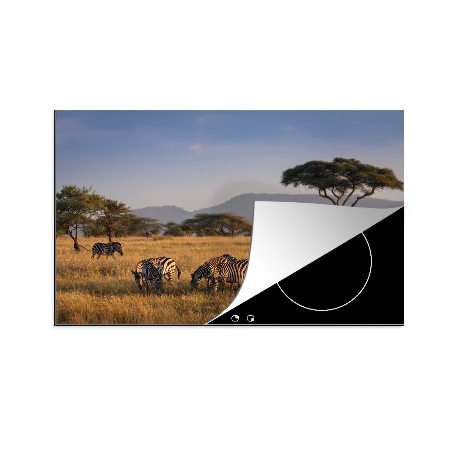 MuchoWow Herdblende-/Abdeckplatte Kleine Herde Zebras beim Grasen in der Savanne, Vinyl, (1 tlg), 81x52 cm, Induktionskochfeld Schutz für die küche, Ceranfeldabdeckung