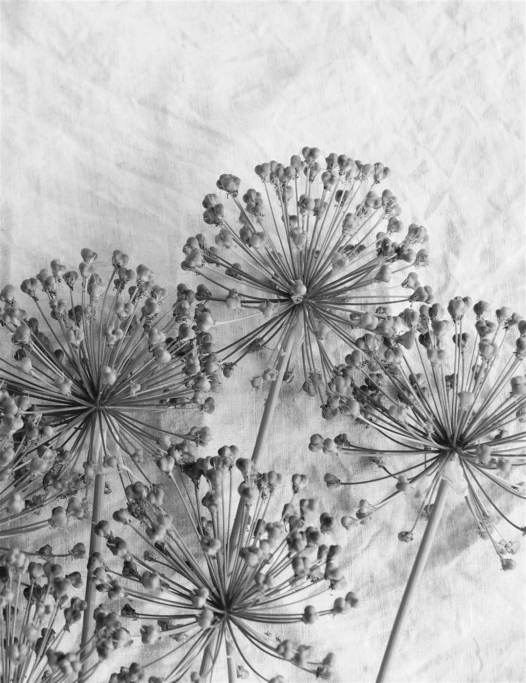 HOME in green Schiebegardine Cintia 3Er Set 245 X 60 cm 3x Schiebevorhang inkl. Paneelwagen Grau (3 St), Kunstfaser, 3x Schiebevorhang inkl. Paneelwagen und Klemmleiste Grau