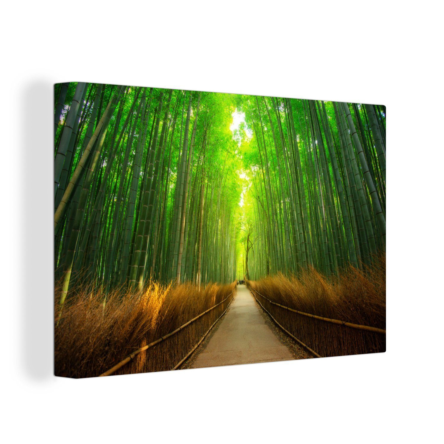 OneMillionCanvasses® Leinwandbild Weg durch den Wald, (1 St), Wandbild Leinwandbilder, Aufhängefertig, Wanddeko, 30x20 cm