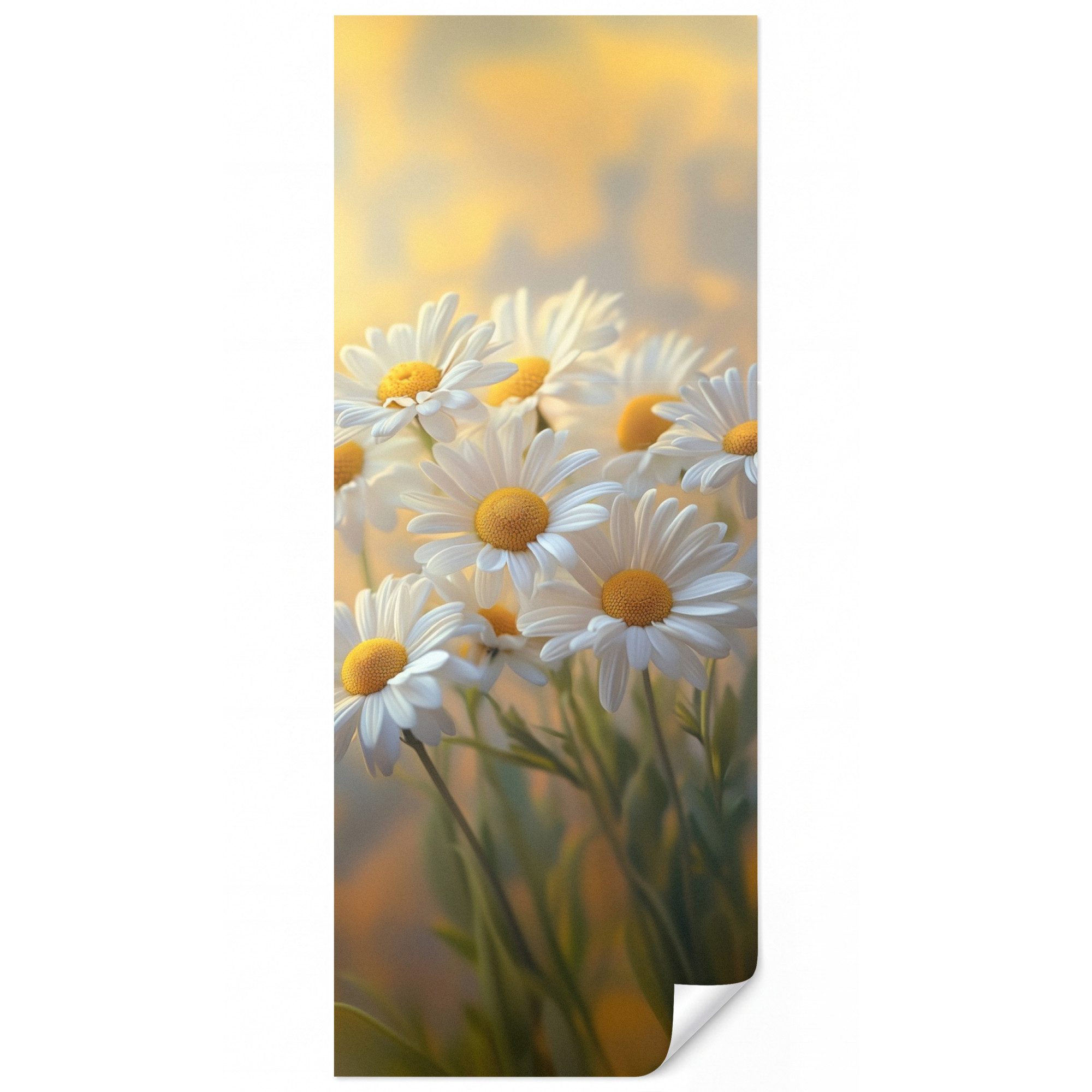 OnlyWow Fototapete Gänseblümchen - Weiß - Sonnenlicht, Matt, bedruckt, Schlafzimmer, Küche, Vliestapete, Modern 100x240cm