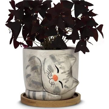 Window Garden Katzen-Futterspender, Sebby Sebbyart Decokeramik