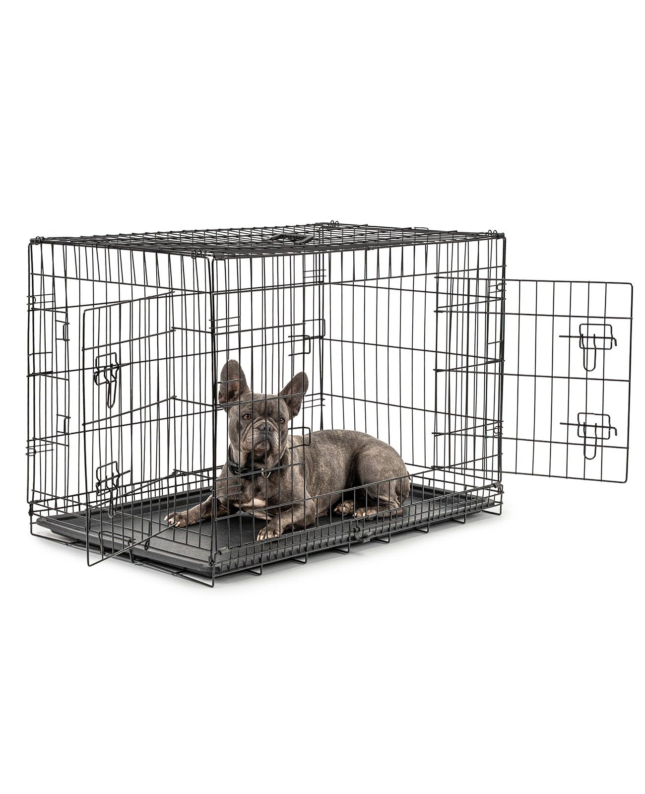 lionto Tiertransportbox faltbar mit Bodenwanne, schwarz, hygienisch mit Trennwand & Sicherheitsverriegelung