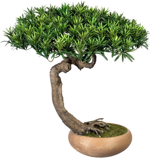 Kunstbonsai »Bonsai Podocarpus Shankan« Bonsai Podocarpus Shankan, Creativ green, Höhe 60 cm, in Keramikschale-Otto