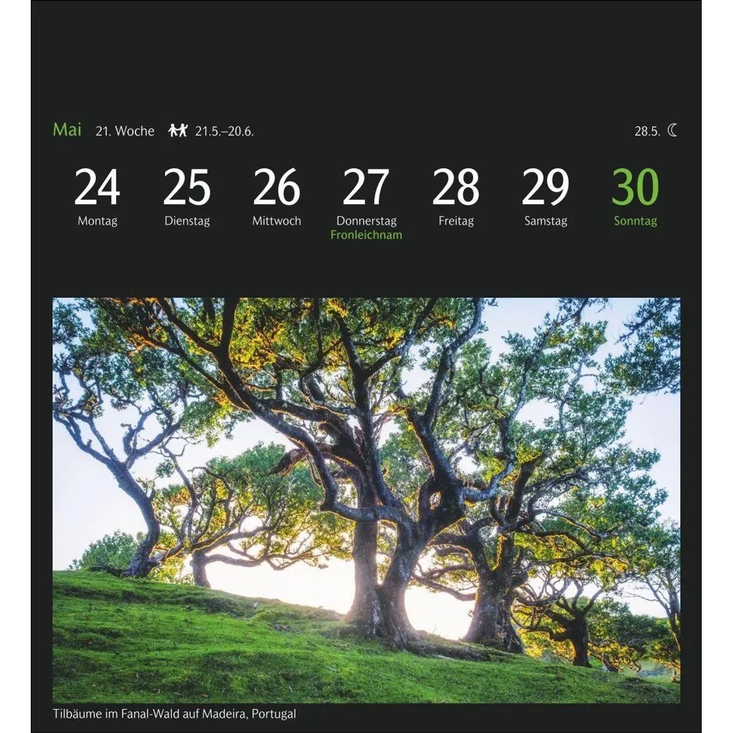 Harenberg Kalender Verlag Naturkalender GEO Magische Natur Postkartenkalender 2027 - Wochenkalender mit 53...