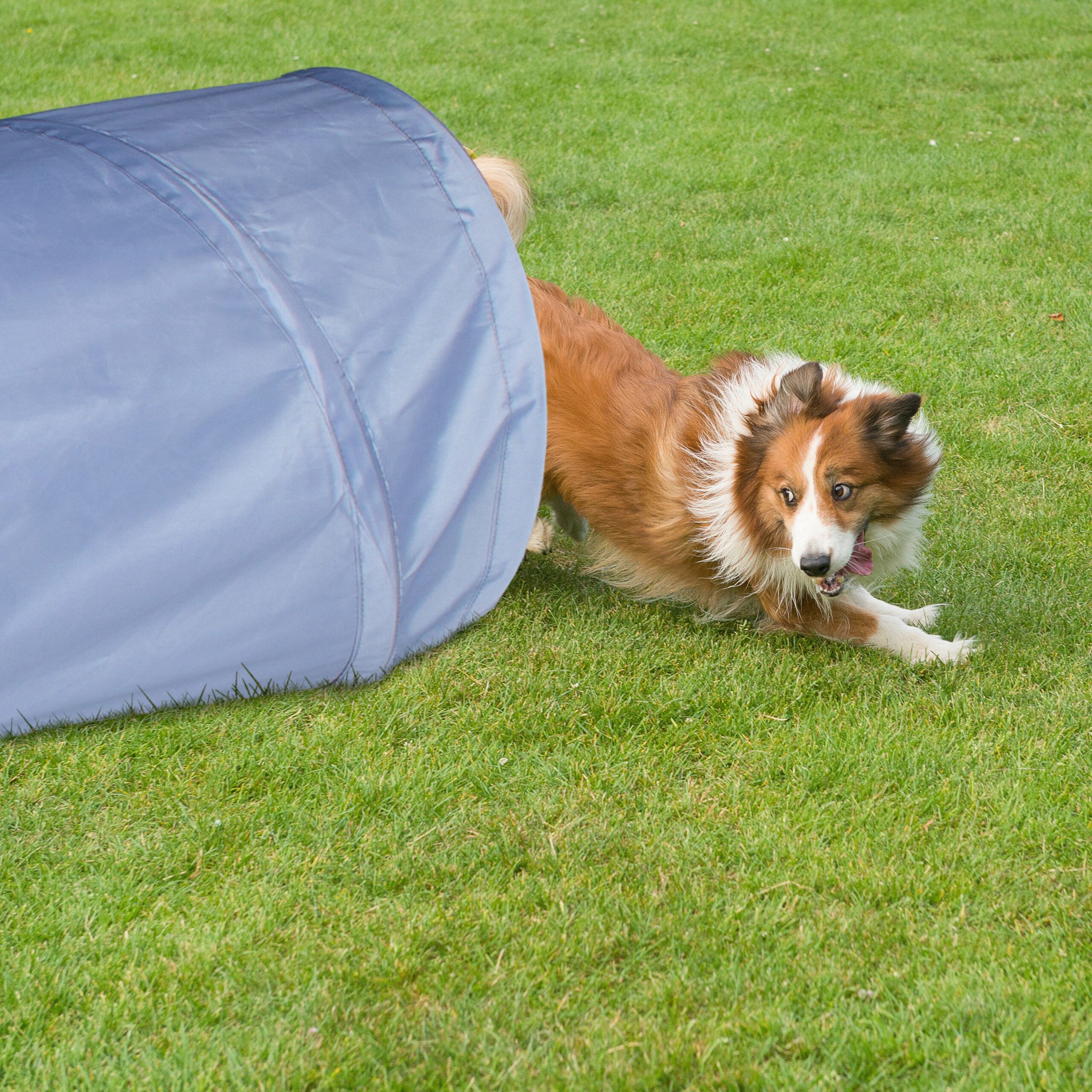 relaxdays Agility-Tunnel Hundetunnel Agility 2m, Polyester, (1-tlg)