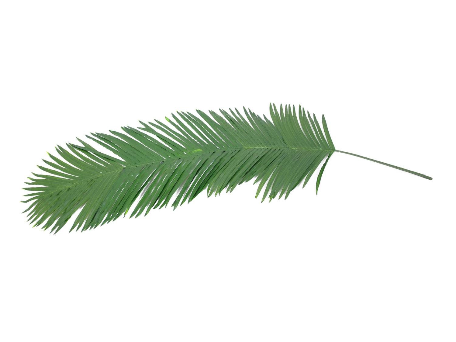 Kunstpflanze Kokosnusspalme Palmwedel Kunststoff GLORINA, 180cm Kokospalme, artplants, Höhe 180.0 cm