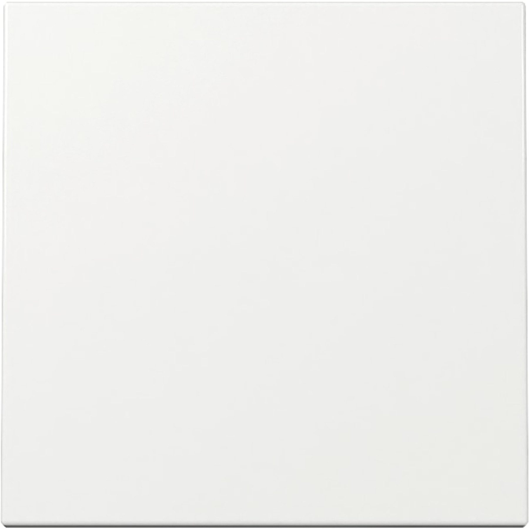 GIRA Lichtschalter GIRA Wippe, 329603, System 55, weiß