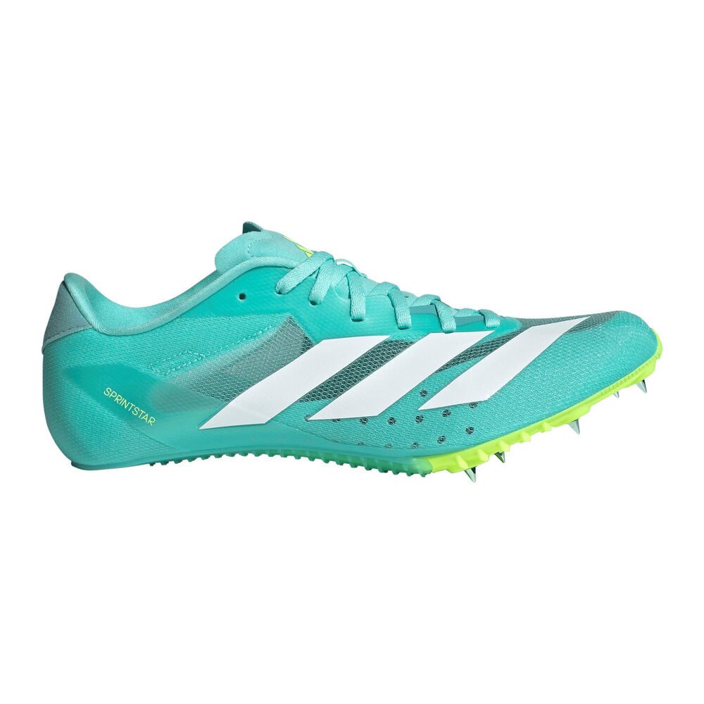 adidas Sportswear Sprintstar - Spikeschuh Laufschuh günstig online kaufen