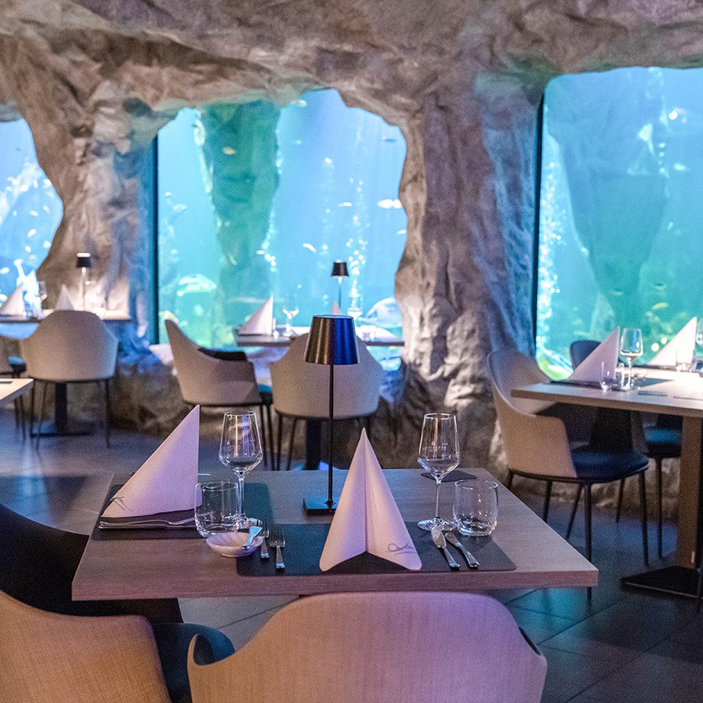 Jochen Schweizer Erlebnisgutschein Gourmet-Menü im Unterwasser-Restaurant in Neuwied für 2, Ein Dinner wie ein Tauchgang im See