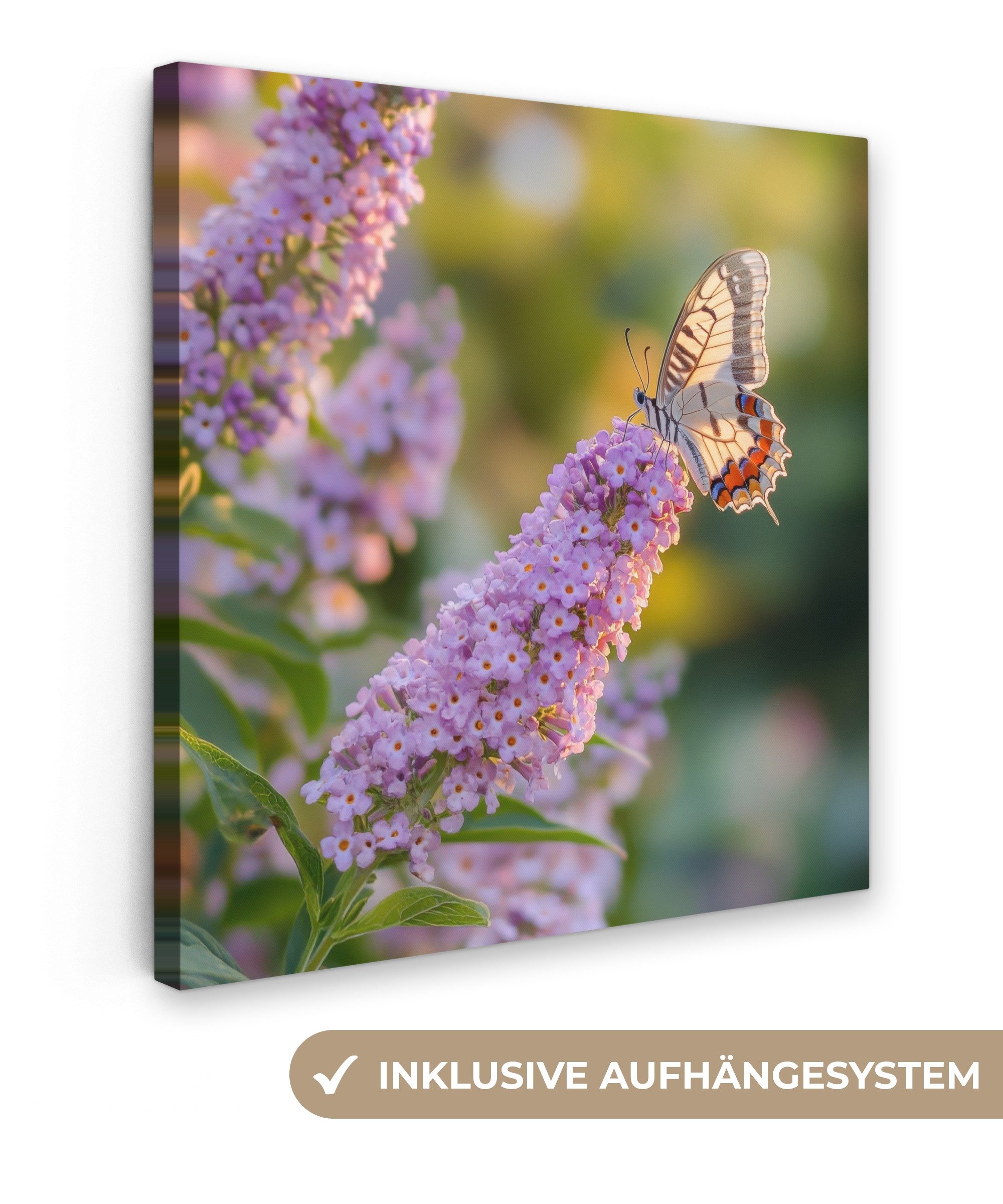 OneMillionCanvasses® Leinwandbild Verschnörkelt - Schmetterling - günstig online kaufen