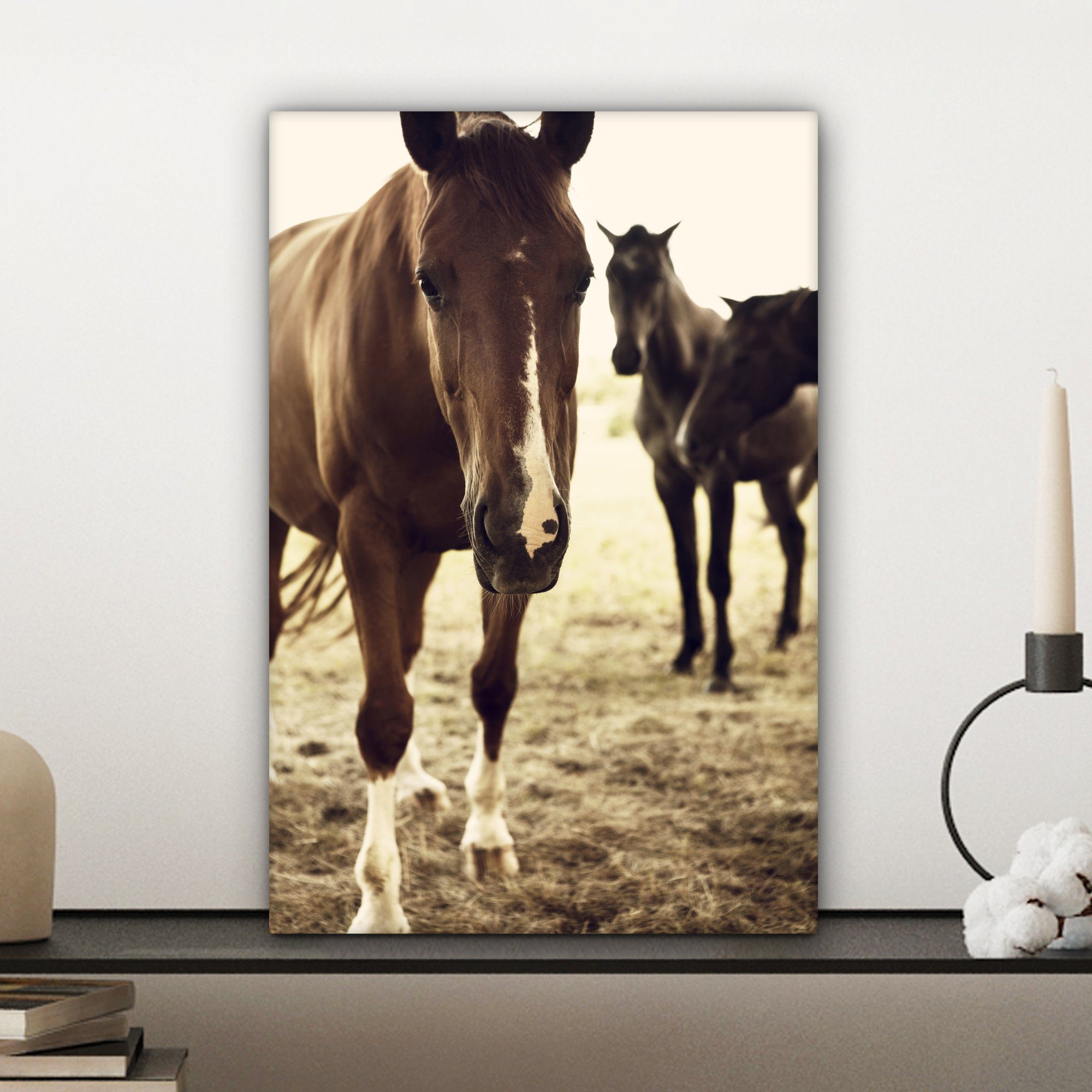 fertig Leinwandbild Sepia-Fotodruck, Leinwandbild cm St), 20x30 OneMillionCanvasses® Gemälde, (1 inkl. bunt Pferde Zackenaufhänger, bespannt