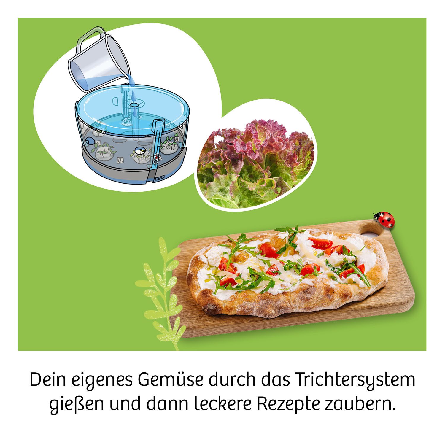 Kosmos Experimentierkasten Hydro-Garten, Made in Germany