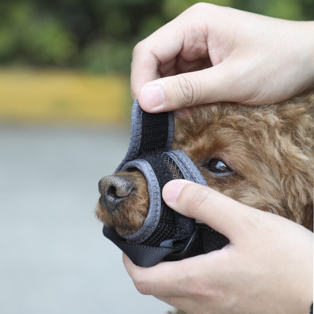 Nobby Maulkorb Nobby Hundemaulkorb verstellbar L grau, Nylon