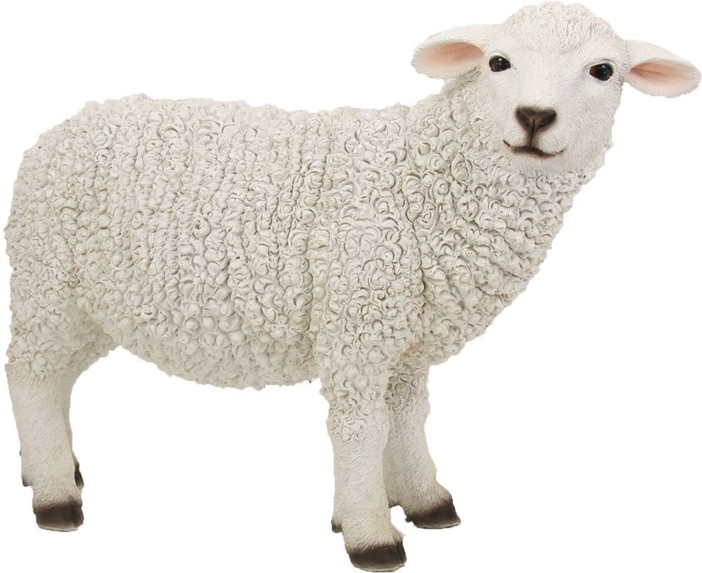 FADEDA Tierfigur FADEDA Schaf stehend, 30 schauend, cm: (1 St) Höhe rechts in