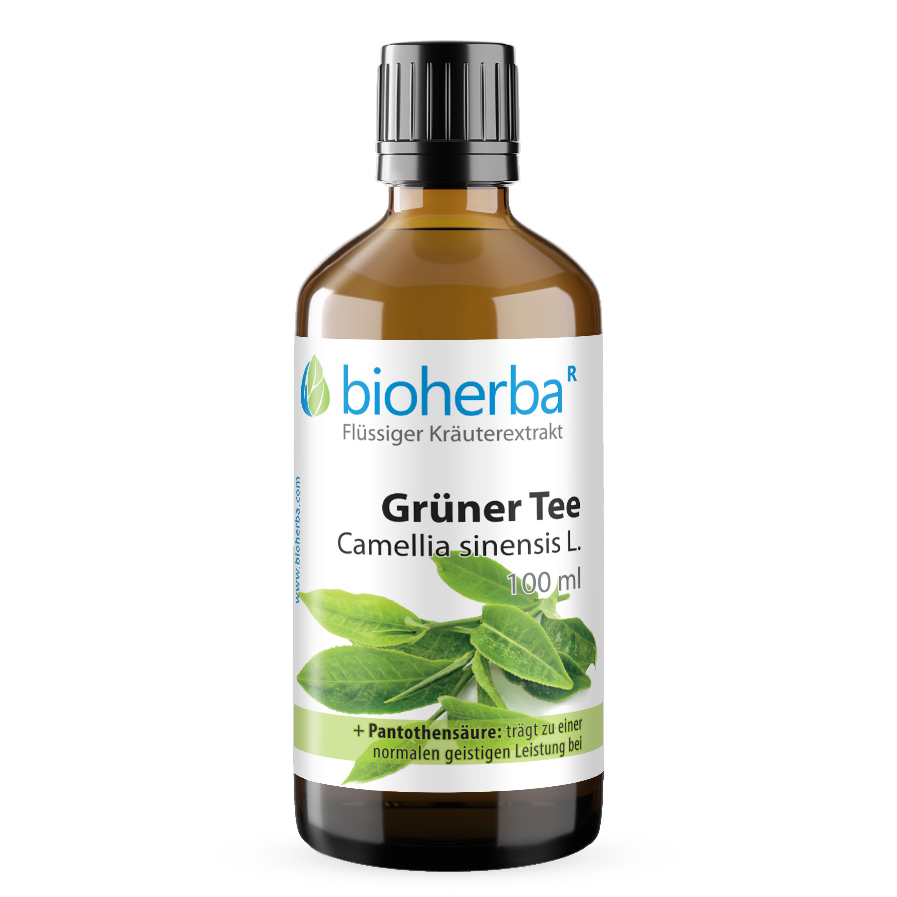BIOHERBA R Bioherba Grüner Tee Camellia sinensis L. Tropfen Tinktur 100 ml Glasflasche, 1 er