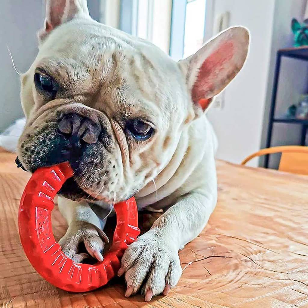 Smile cm Hunde Kauspielzeug Rot Hunde-Ballschleuder Groß 20x18x4 Ferplast für