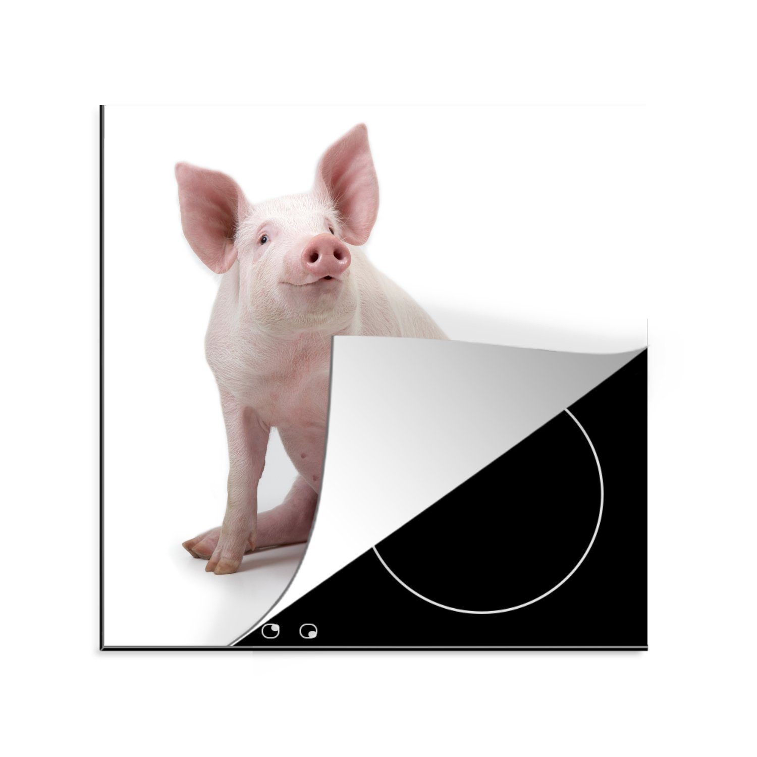 Neue Artikel für Frühjahr/Sommer 2024 MuchoWow Herdblende-/Abdeckplatte Schwein - Bauernhoftiere Ceranfeldabdeckung, für 78x78 Arbeitsplatte - Vinyl, cm, küche (1 Weiß, tlg)