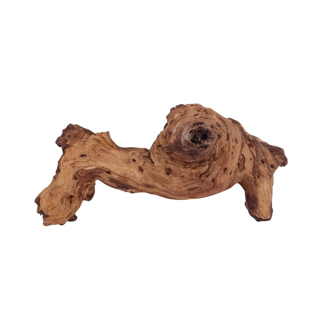 Aquaone Aquarium XL Mopani Wurzel Nr.2816 Holz Deko Aquascaping