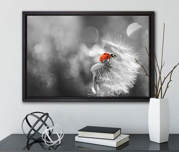 Pixxprint Leinwandbild Marienkäfer auf Pusteblume, Wanddekoration (1 St), Leinwandbild fertig bespannt, in einem Schattenfugen-Bilderrahmen gefasst, inkl. Zackenaufhänger
