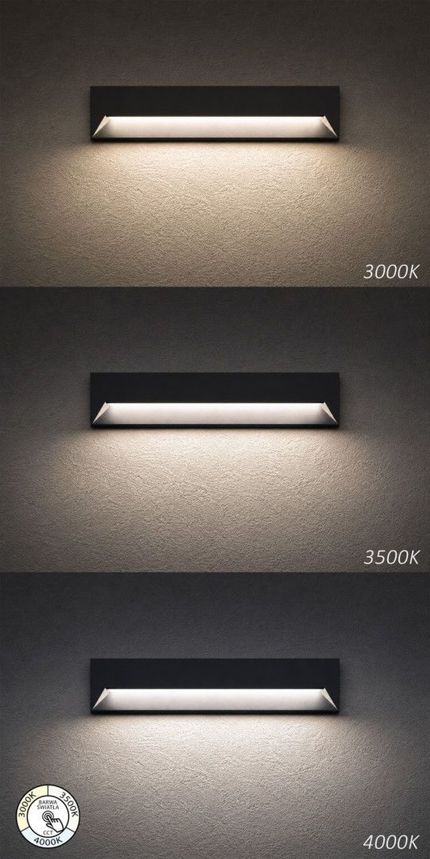 Licht-Erlebnisse Außen-Wandleuchte EIDAN, LED fest integriert, Aluminium Glas LED IP65 32 cm breit Anthrazit länglich 610 lm Modern