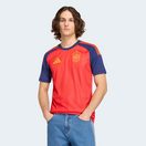 adidas Performance Fußballtrikot RFEF H JSY mit Climacool® Technologie, atmungsaktiv, Kurzarm