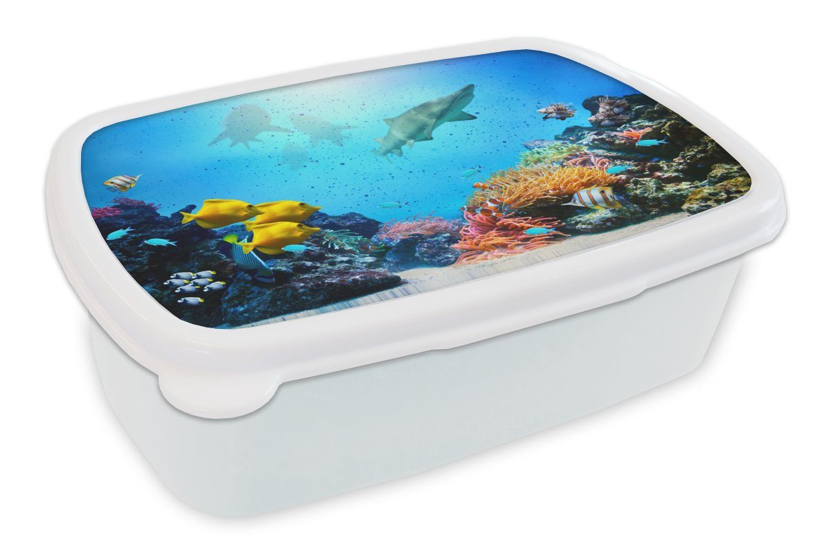 Meer MuchoWow für weiß Brotbox Erwachsene, Mädchen Korallen, und Kinder und für (2-tlg), Lunchbox Jungs - - Kunststoff, Fische Brotdose,