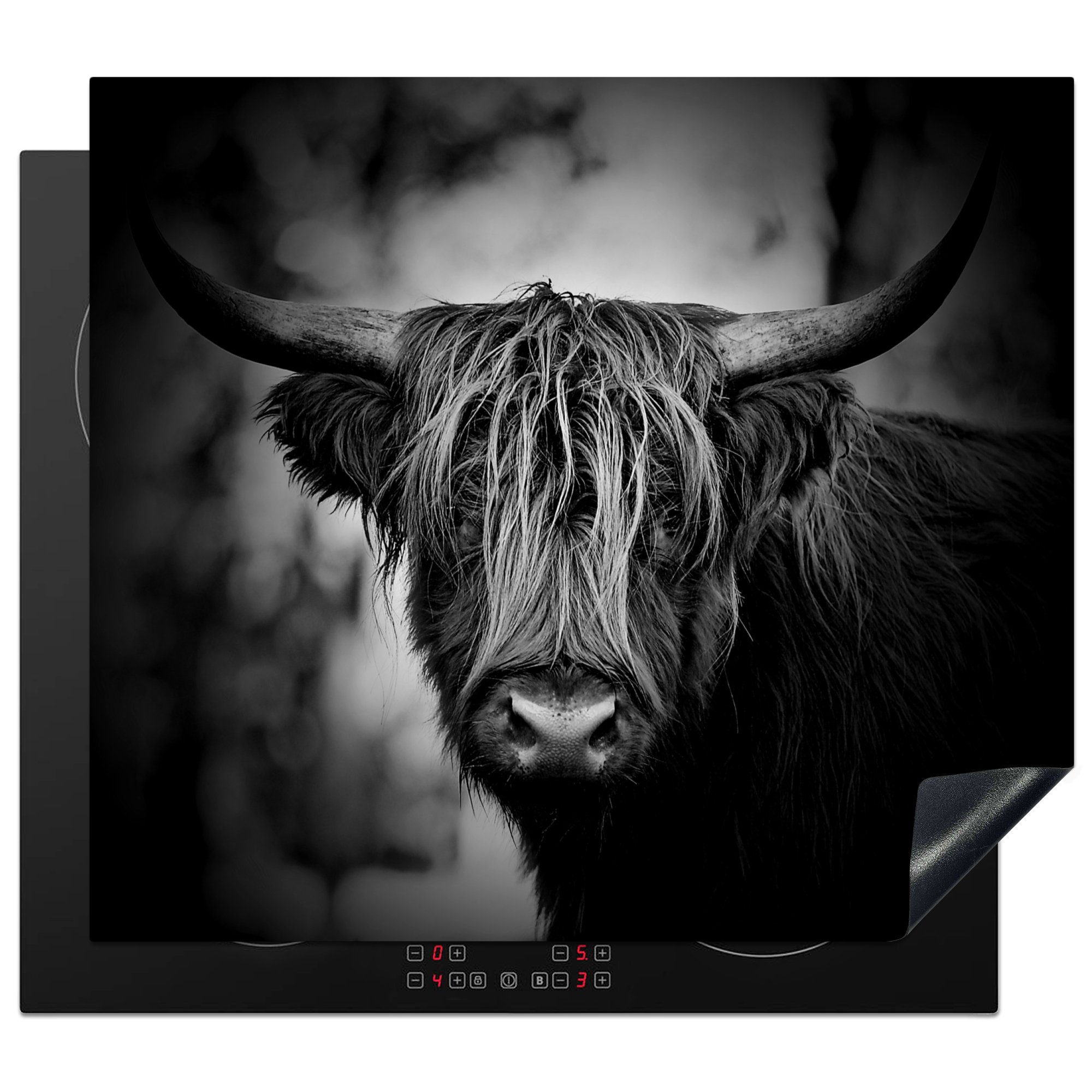 MuchoWow Herd-Abdeckplatte Schottischer Hochländer - Licht - Porträt - Natur, Vinyl, (1 tlg), Abdeckplatte für Ceranfeld, Herd Inductionsmatte, 57x51 cm