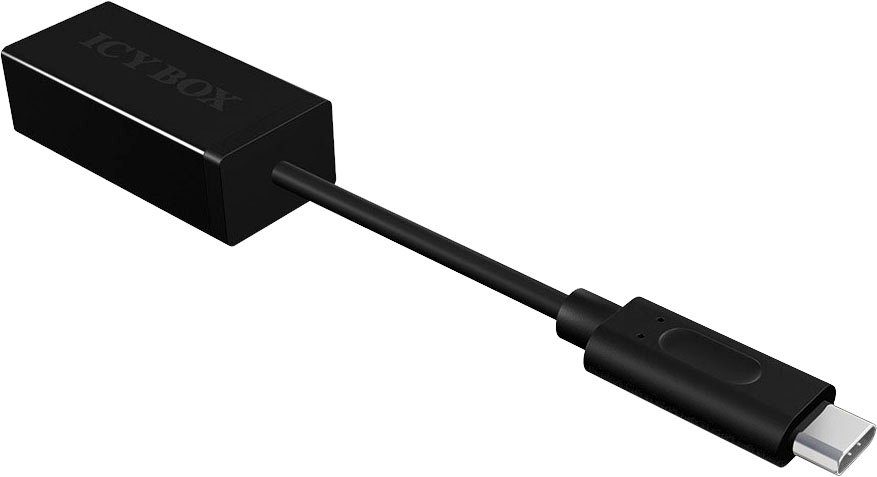 Computer-Adapter zu Ethernet Adapter (10-100Mbit-s) BOX Raidsonic USB-C ICY