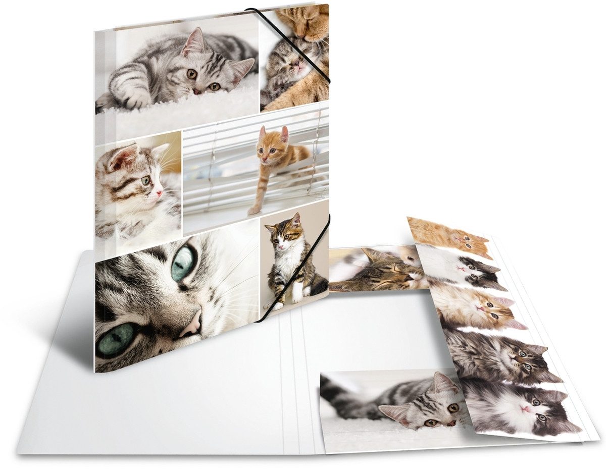 HERMA Fächermappe Sammelmappe A4 Pappe Katzen
