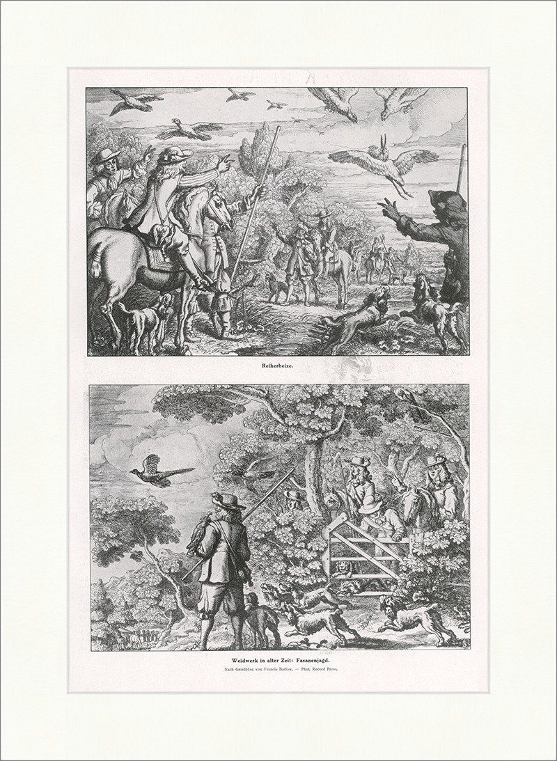 Kunstdruck Weidwerk in alter Zeit: Fasanenjagd Reiherbeize Jäger Vögel F_Vintage