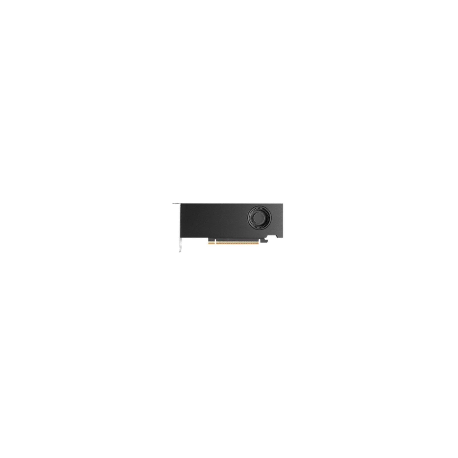 Nvidia RTX PRO 2000 Blackwell Grafikkarte (16 GB, GDDR7)