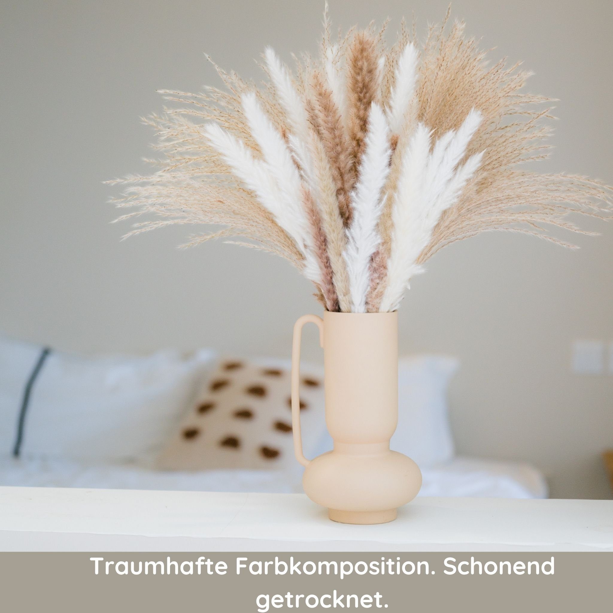 Trockenblume 60 STK getrocknetes Pampasgras – günstig online kaufen