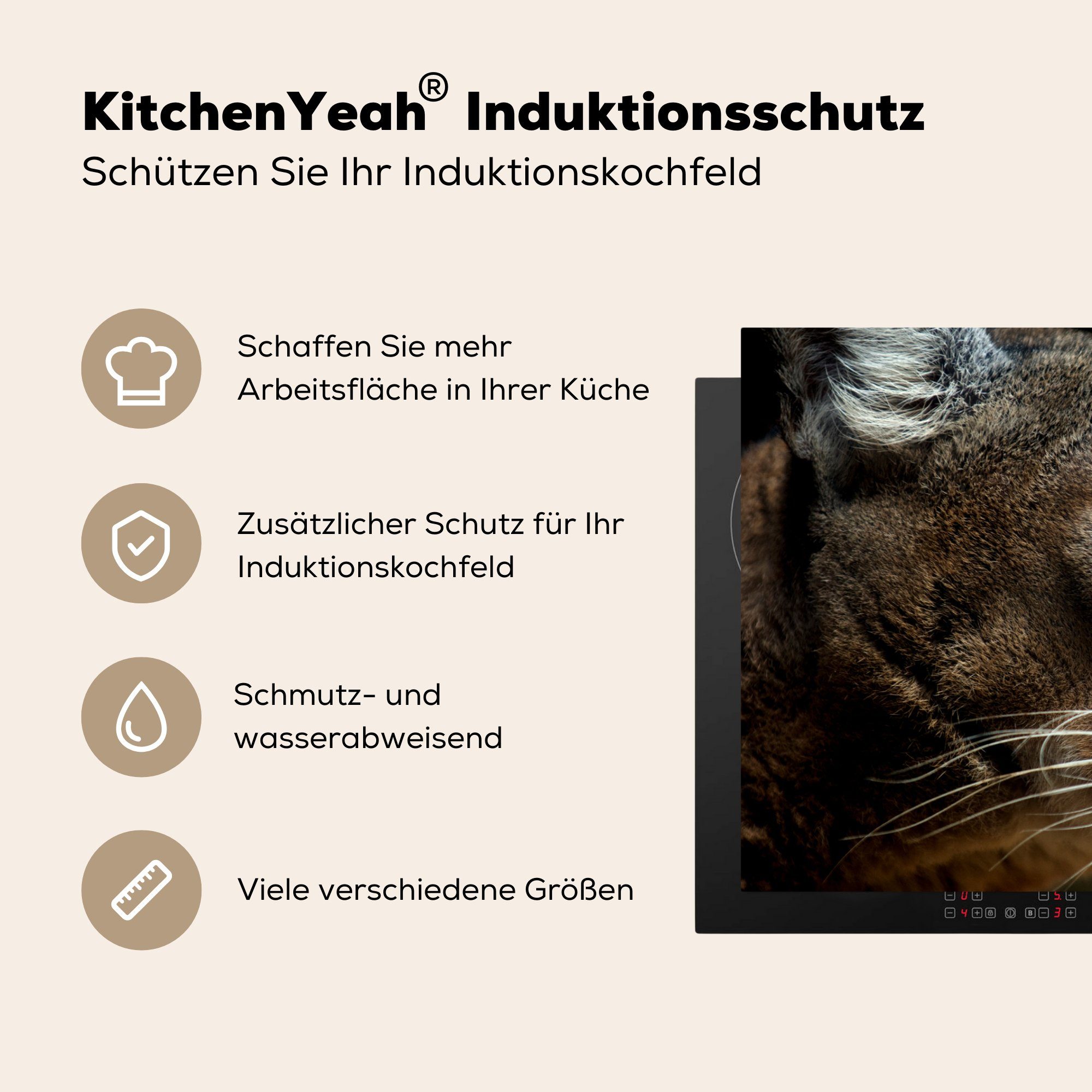 MuchoWow Herdblende-/Abdeckplatte Cougar - Augen - Ceranfeldabdeckung 81x52 küche, cm, Vinyl, Schutz Schwarz, für Induktionskochfeld (1 tlg), die