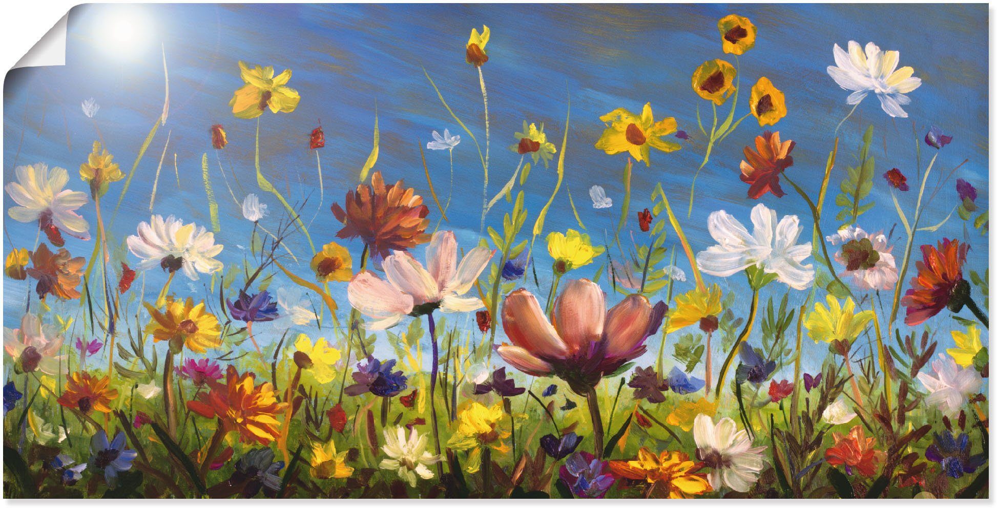 Artland Wandbild Wildblumenwiese blauer Himmel, Blumenwiese günstig online kaufen