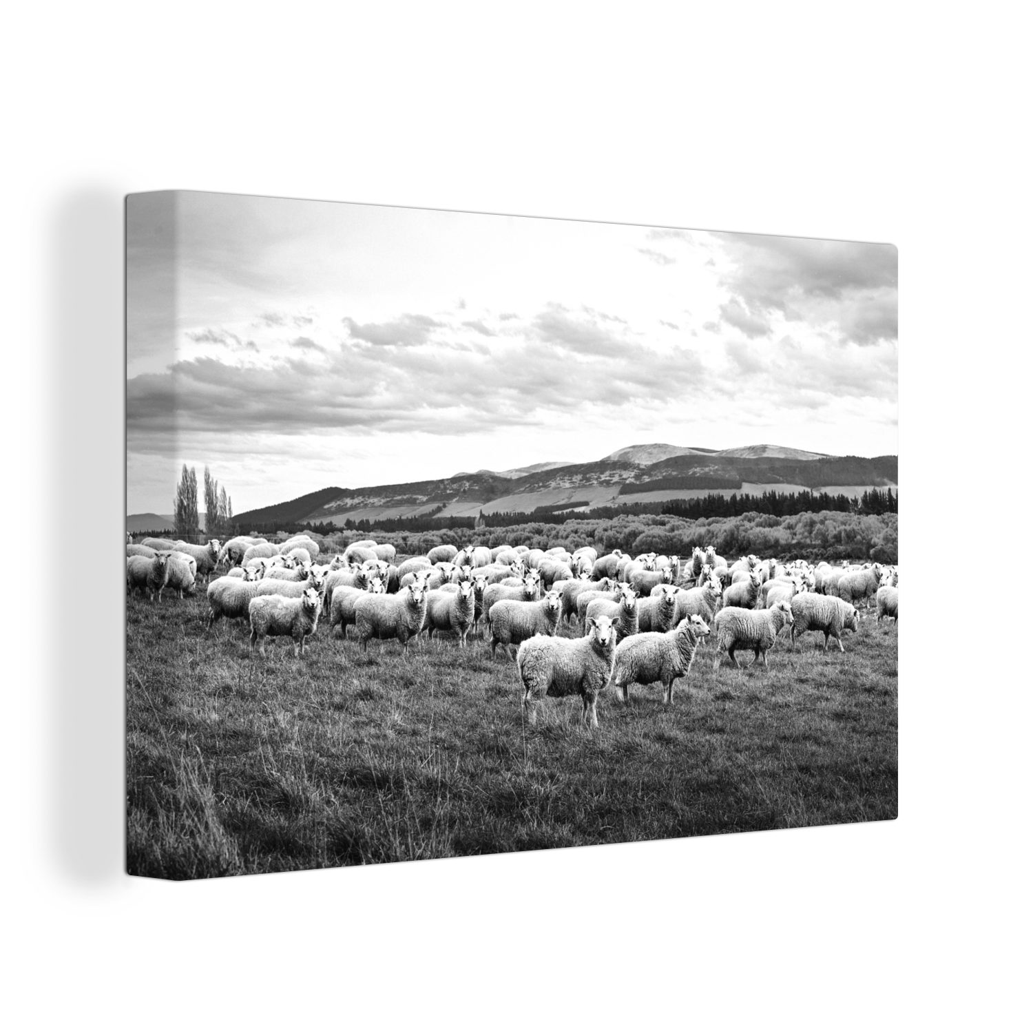 OneMillionCanvasses® Leinwandbild cm 30x20 und bunt Leinwandbilder, (1 den St), schwarz Wanddeko, Aufhängefertig, weiß, - Schafherde Hügeln Wandbild in