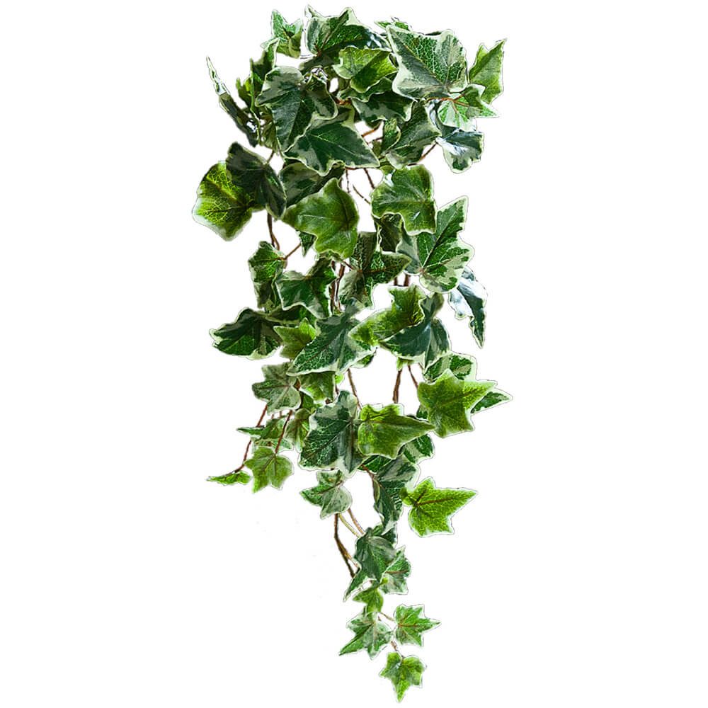 Kunstblume Efeu Ranken Kunstefeu zum Hängen 1 Stk 45 cm hellgrün Efeu, matches21 HOME & HOBBY, Höhe 45 cm, Indoor. € 12,99