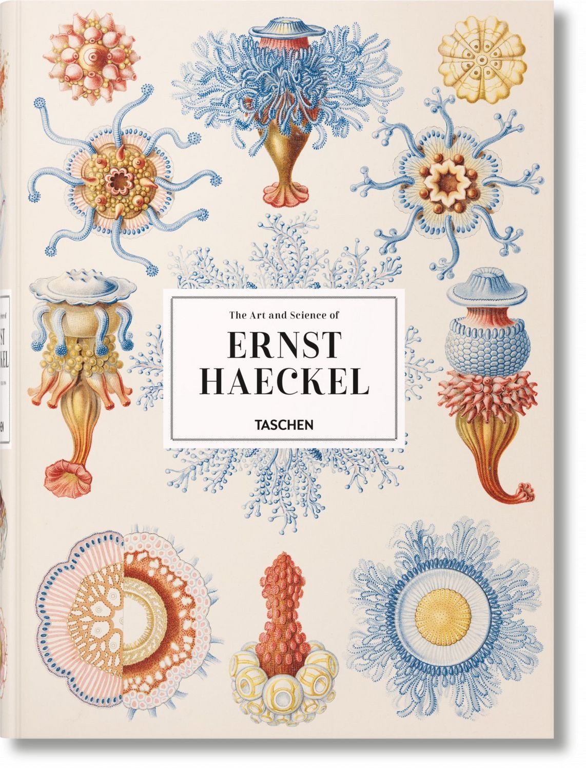 Sachbuch The Art and Science of Ernst Haeckel Julia Voss, Rainer Willmann
