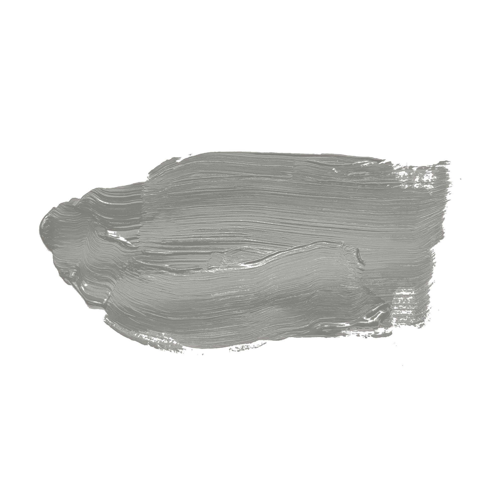 Wand- Deckenfarbe 1010 Seidenmatt Grey und 5l A.S. Innenfarbe Salt Wandfarbe, Création