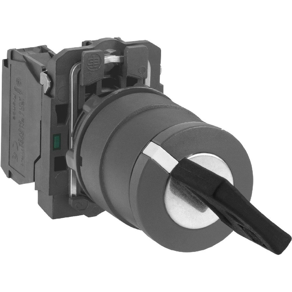 SCHNEIDER Schalter Schneider Electric XB5AG21 XB5AG21 Schlüsselschalter 1 St. (XB5AG21)